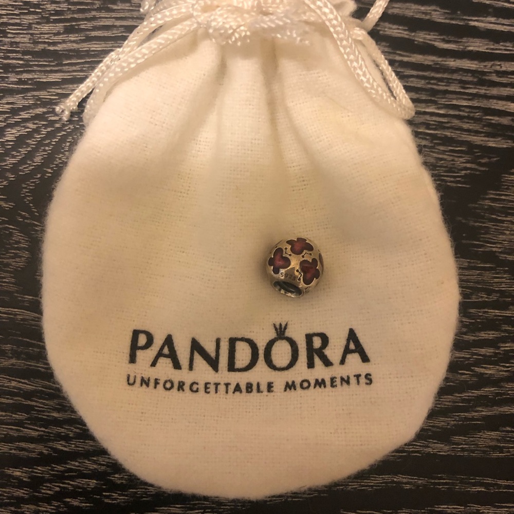 New Pandora Charm